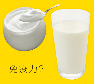 風邪予防に牛乳・ヨーグルト!! その1